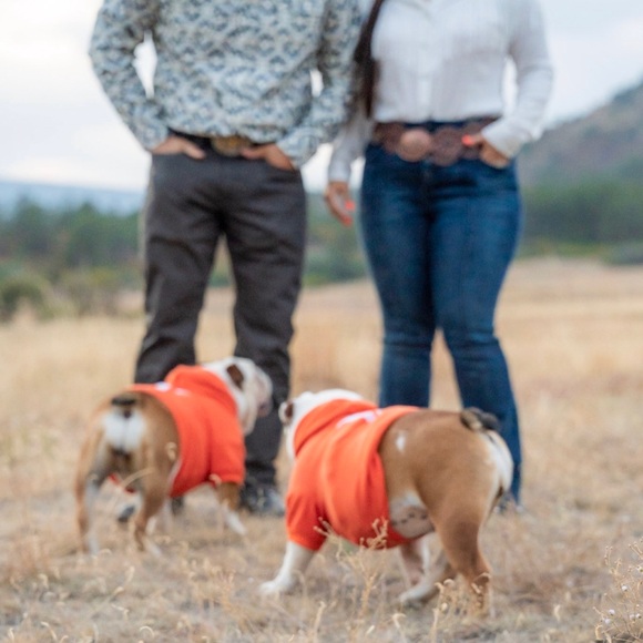 Meet your Posher, Jasmine - Picture 3 of 4